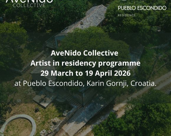 Invitation to the Public Play Test of AveNido Collective Invitation to the Public Play Test of AveNido Collective