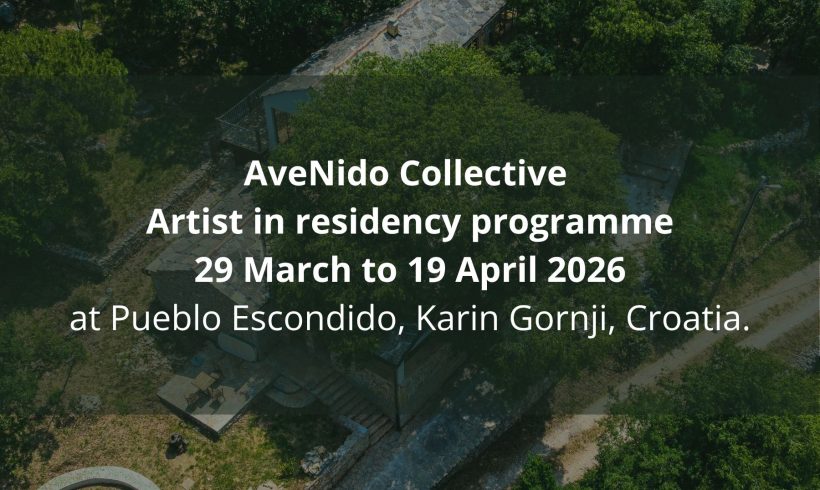 Invitation to the Public Play Test of AveNido Collective Invitation to the Public Play Test of AveNido Collective
