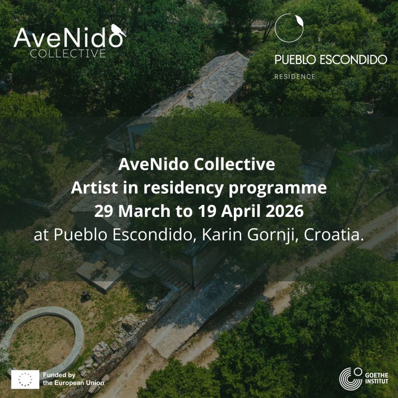 Invitation to the Public Play Test of AveNido Collective
