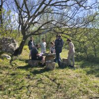 Javni play test AveNido Collective igre okupio 50 sudionika iz 11 zemalja u Karinu Gornjem