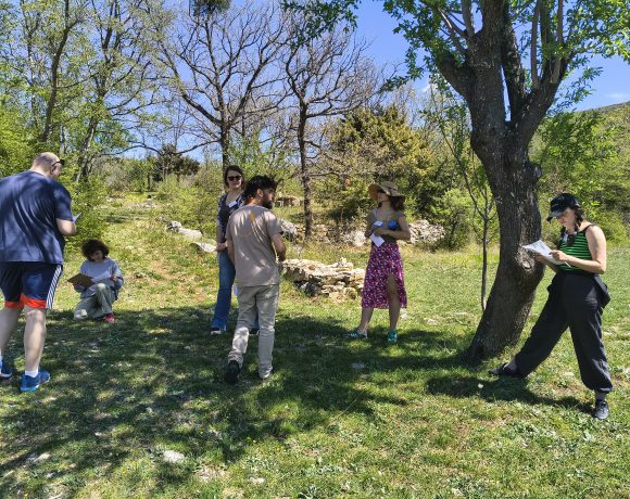 AveNido Collective Public Play Test Brought Together 50 Participants from 11 Countries in Karin Gornji